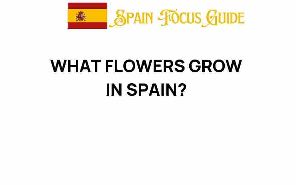 flowers-in-spain