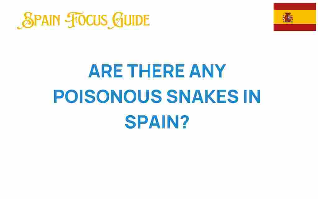 are-there-any-poisonous-snakes-in-spain