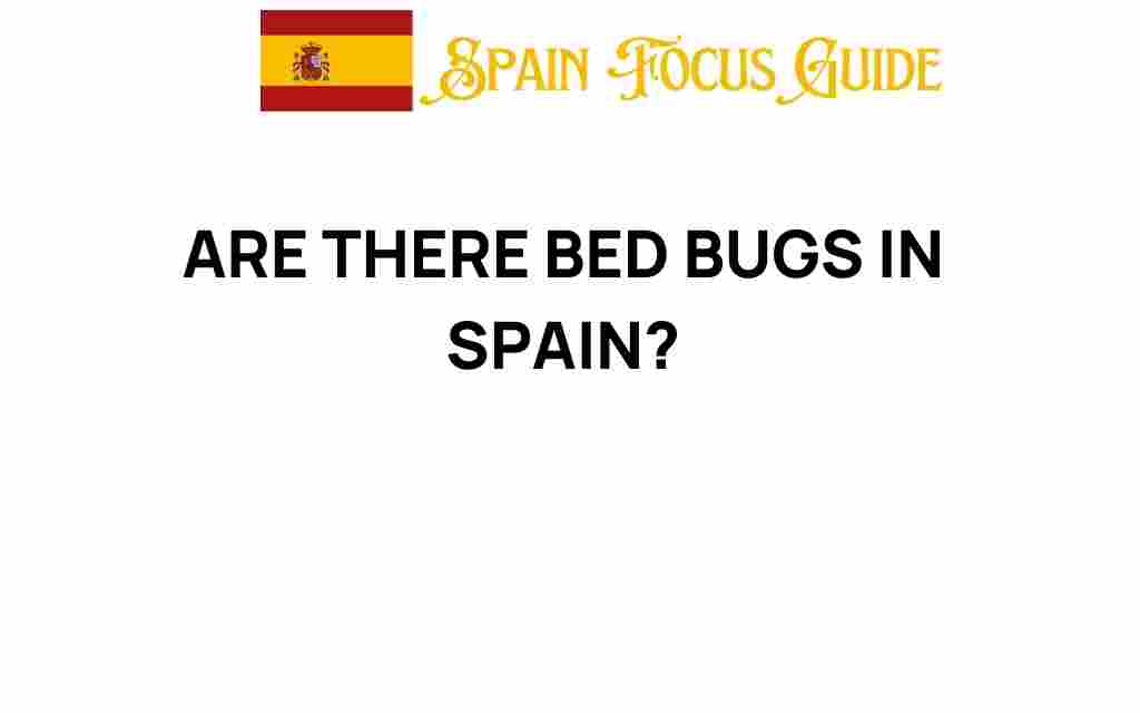 are-there-bed-bugs-in-spain