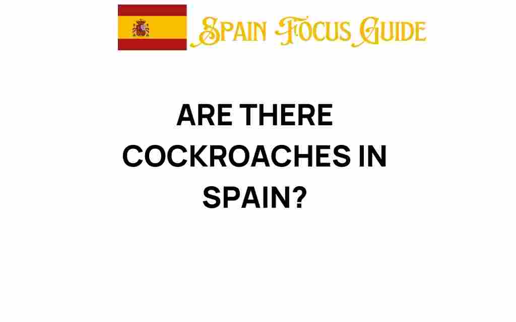 cockroaches-in-spain