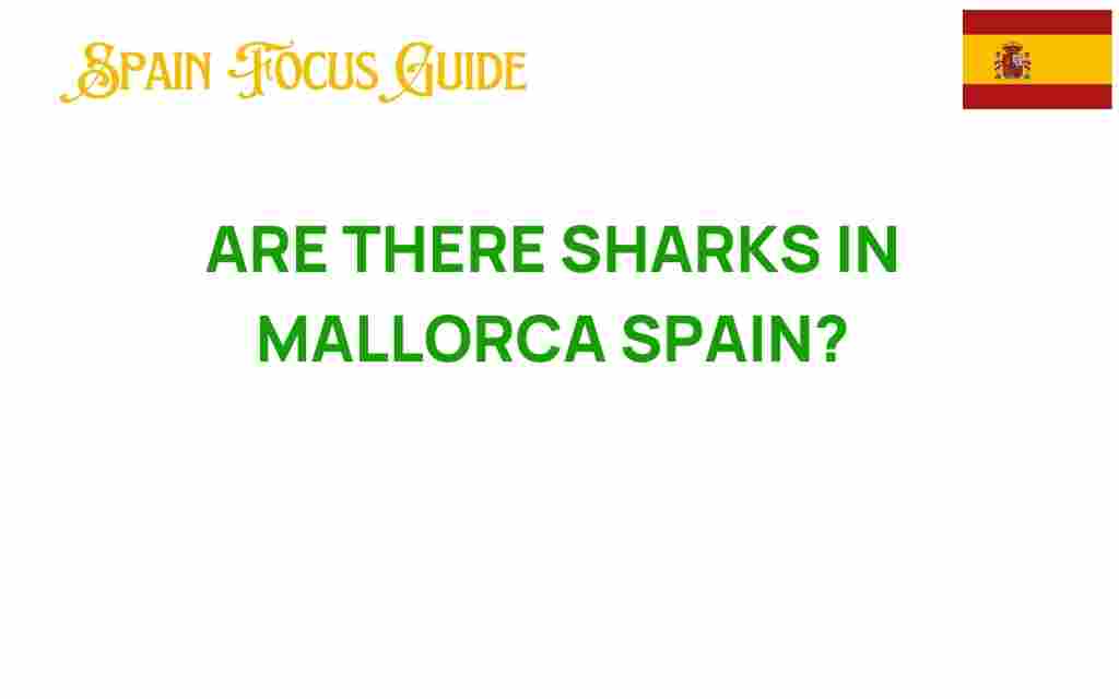 are-there-sharks-in-mallorca-spain