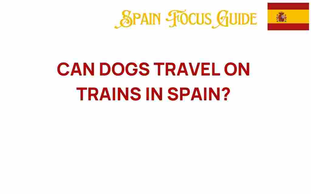 can-dogs-travel-on-trains-in-spain